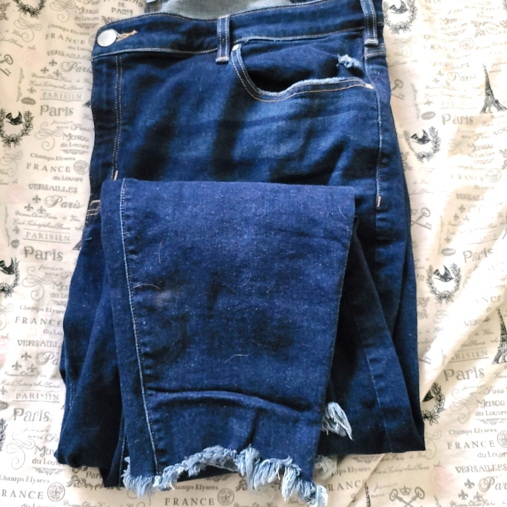 Lane Bryant Distressed Skinny Denim